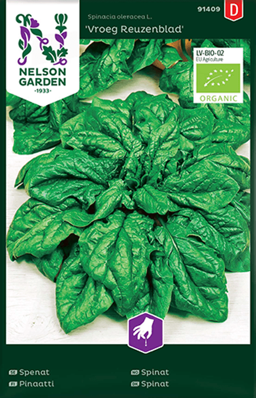 Spinat 'Vroeg Reuzenblad' - Spinacia oleracea, Organic