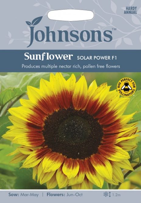 Hovedbilde Solsikke 'Solar Power' - Helianthus annuus