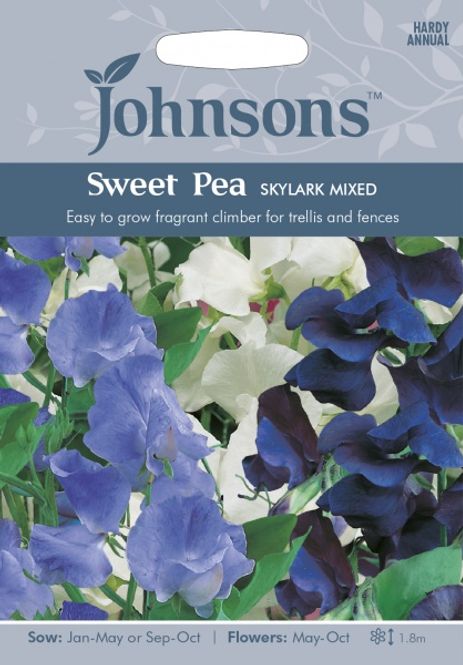 Hovedbilde Blomsterert 'Skylark Mixed' - Lathyrus odoratus