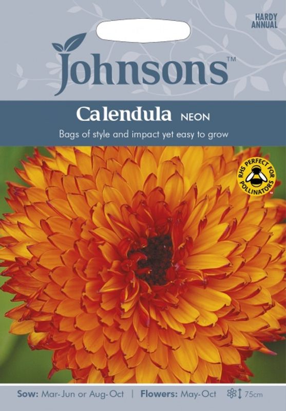 Ringblomst 'Neon’ - Calendula officinalis
