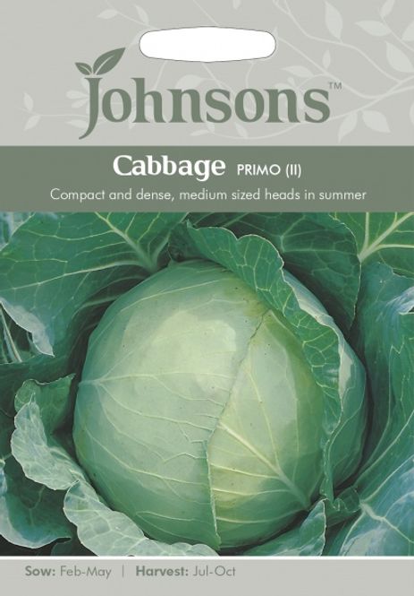 Hovedbilde Hodekål 'Primo' II - Brassica oleracea