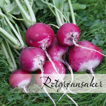 Hovedbilde Rotgrønnsaker