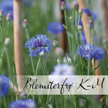 Hovedbilde Blomsterfrø K-M