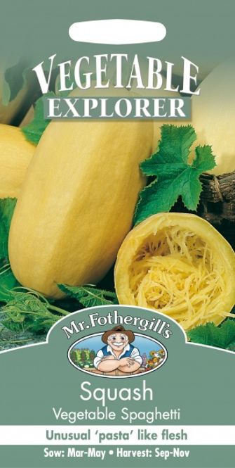 Hovedbilde Gresskar 'Vegetable Spaghetti' - Cucurbita pepo var. ...