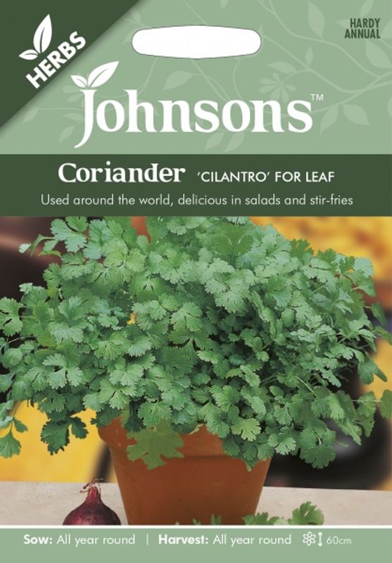 Koriander 'Cilantro' - Coriandrum sativum