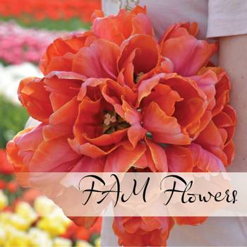 Hovedbilde FAM Flowers