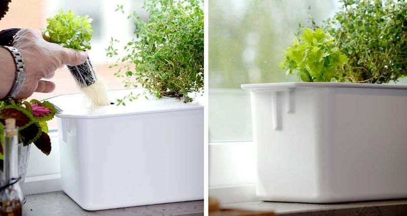 Hydroponisk startpakke - liten, Harvy hvit