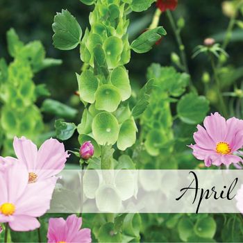 Hovedbilde Dette sår du i april