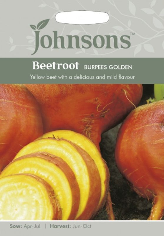 Rødbete 'Burpees Golden' - Beta vulgaris