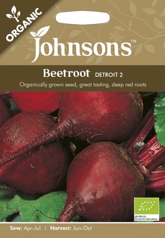 Rødbete 'Detroit 2' - Beta vulgaris, Organic