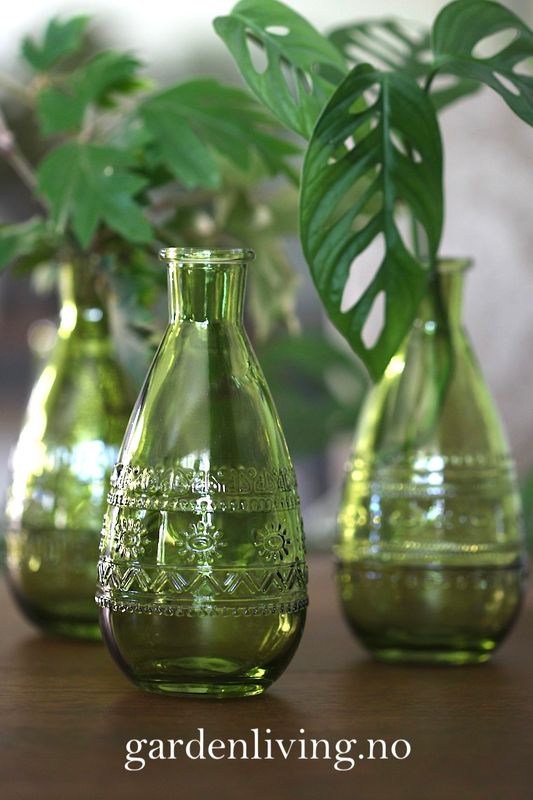 Minivase, Rome olive sun 15,8 cm
