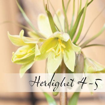 Hovedbilde Herdighet 4-5