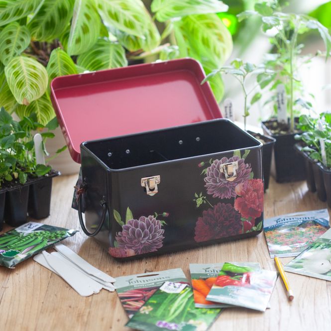 Hovedbilde Frøboks - British Bloom Collection