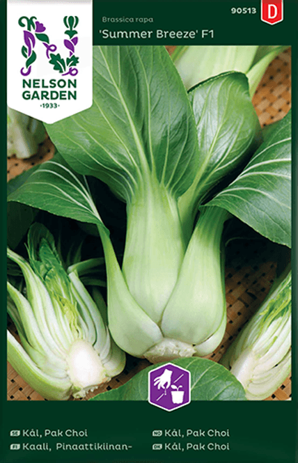 Hovedbilde Pak Choi 'Summer Breeze' F1 - Brassica rapa var. chinensis