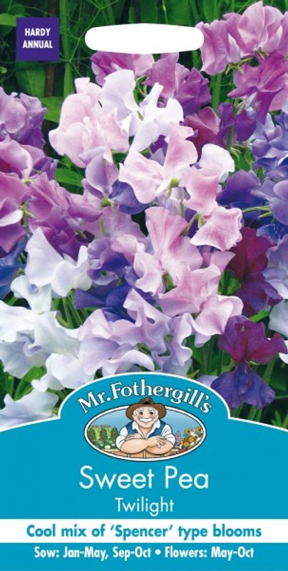 Blomsterert 'Twilight' - Lathyrus odoratus