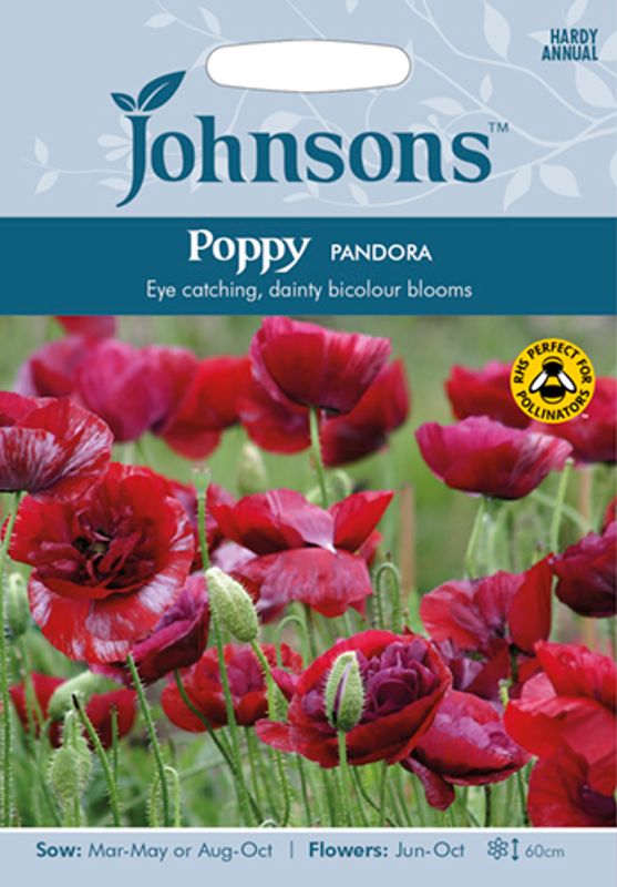 Kornvalmue 'Pandora’ - Papaver rhoeas