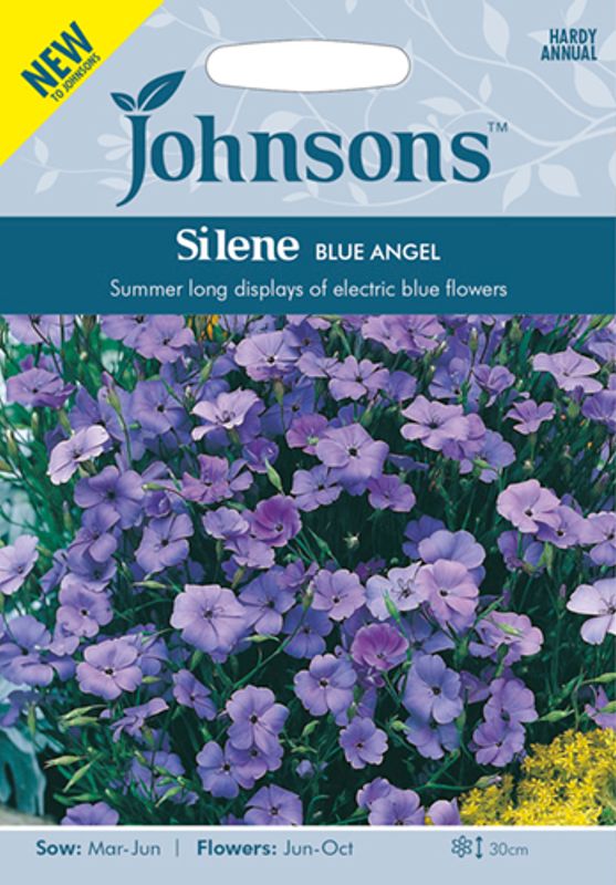 Rosesmelle 'Blue Angel' - Silene coeli-rosa