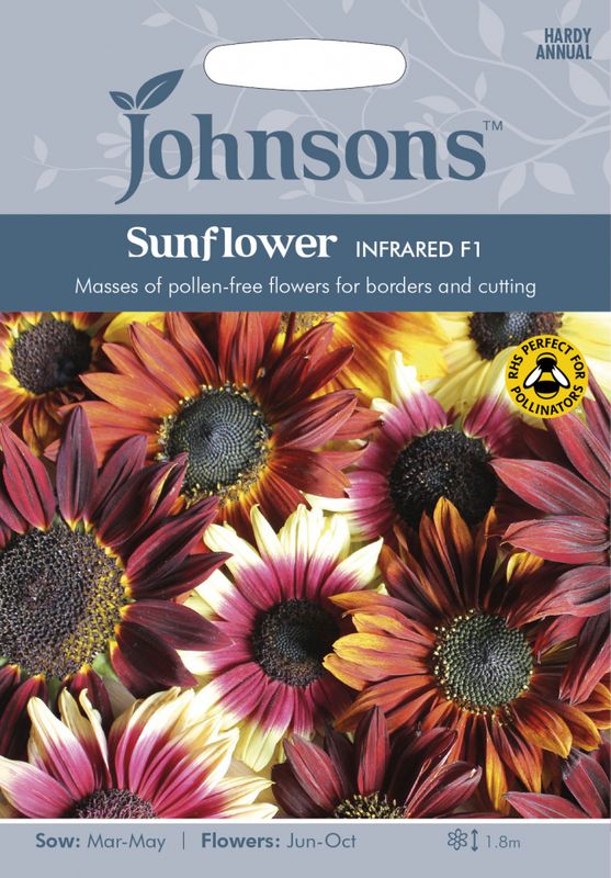 Solsikke 'Infrared' F1 - Helianthus annuus