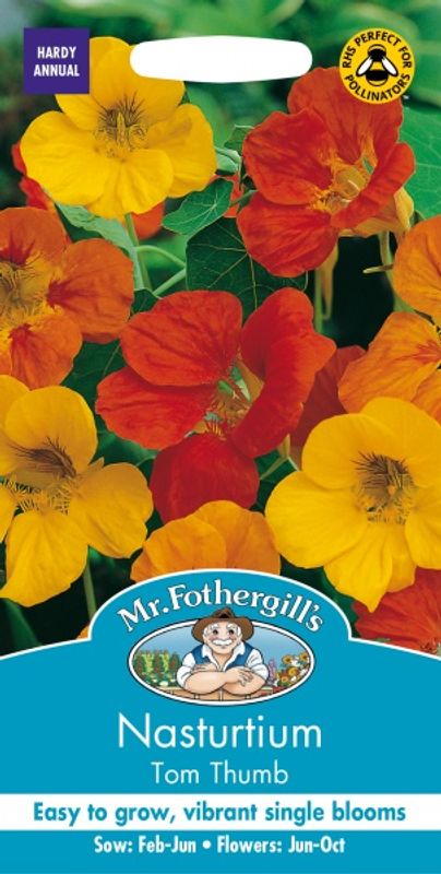 Blomkarse 'Tom Thumb' - Tropaeolum majus