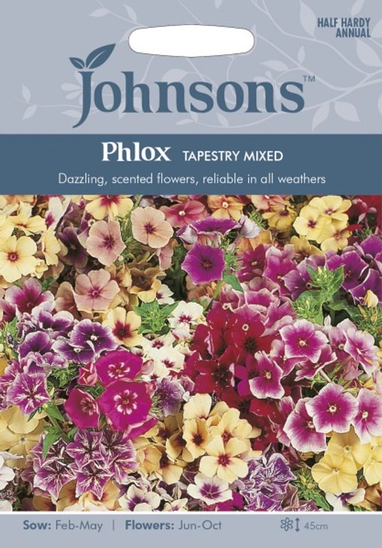 Sommerfloks 'Tapestry Mixed' - Phlox drummondii