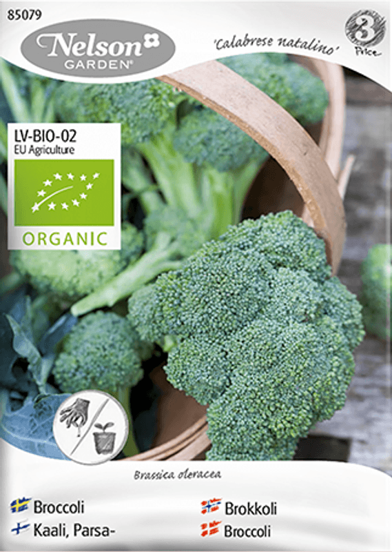 Brokkoli 'Calabrese Natalino' - Brassica oleracea, Organic