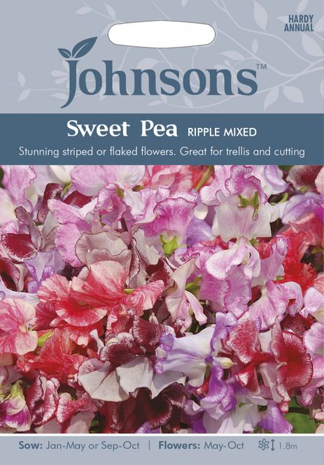 Hovedbilde Blomsterert 'Ripple Mixed' - Lathyrus odoratus