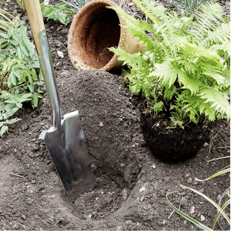 Burgon & Ball - Omplantingspade