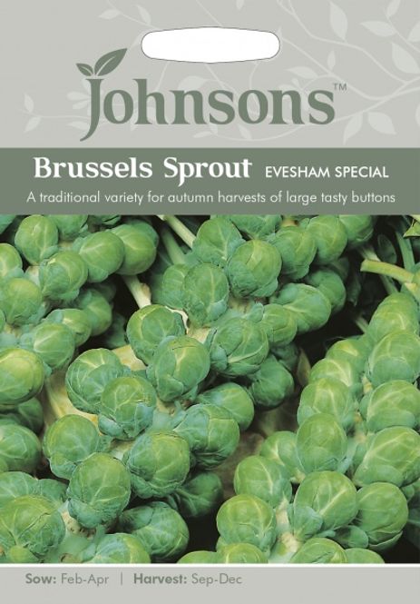 Hovedbilde Rosenkål 'Evesham Special' - Brassica oleracea 
