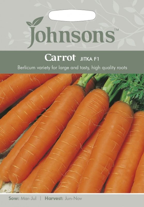 Gulrot 'Jitka' - Daucus carota