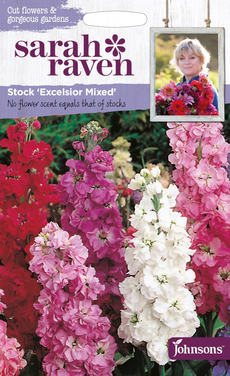 Levkøy 'Excelsior Mixed' - Matthiola incana