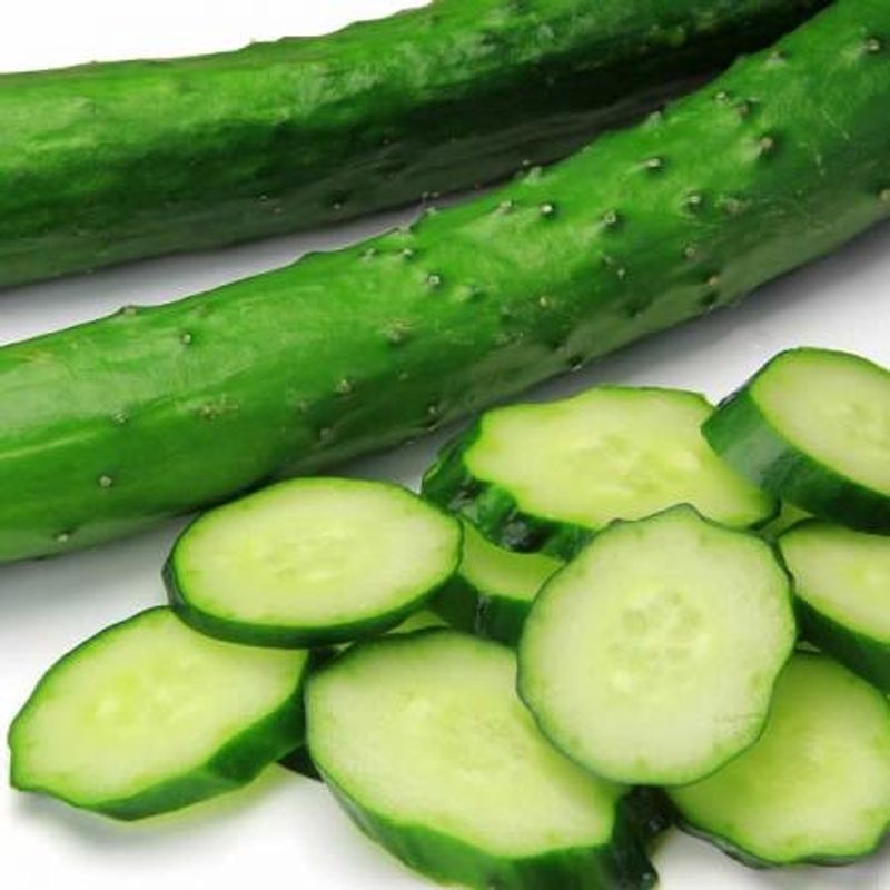 Slangeagurk 'Burpless Tasty Green' F1 - Cucumis sativus