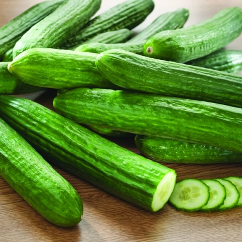 Slangeagurk 'Carmen' F1 - Cucumis sativus