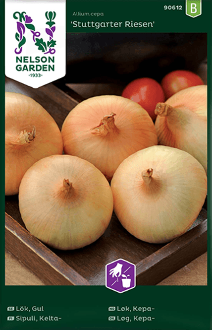 Hovedbilde Kepaløk 'Stuttgarter Riesen' - Allium cepa