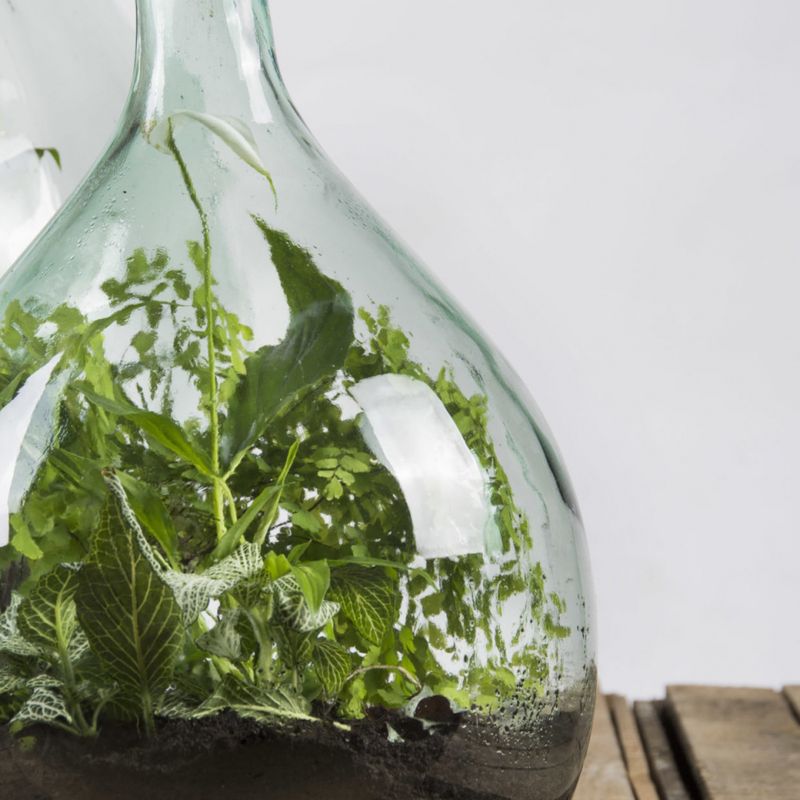Terrarium, 15 L med håndredskap