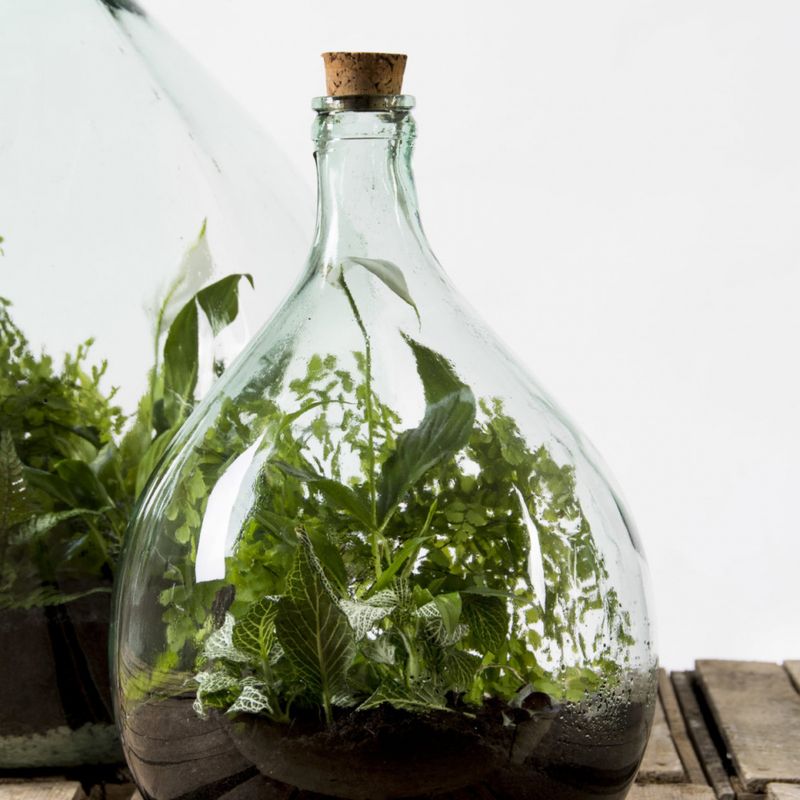 Terrarium, 15 L med håndredskap