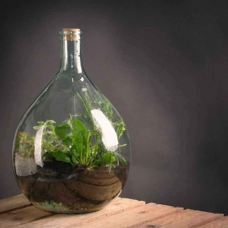 Terrarium, 15 L med håndredskap