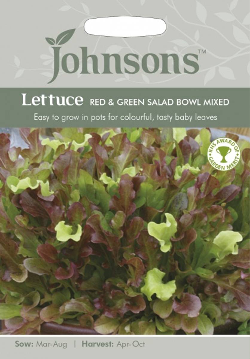 Eikebladsalat 'Red & Green Salad Bowl Mixed' - Lactuca