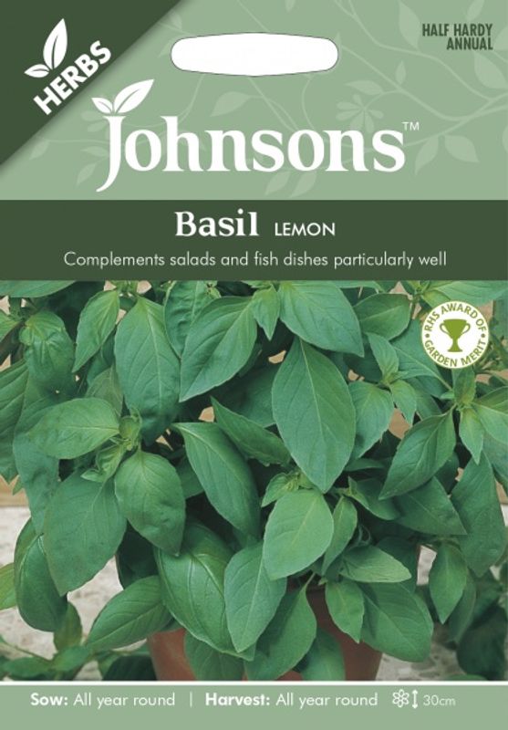 Basilikum 'Lemon' - Ocimum basilicum 