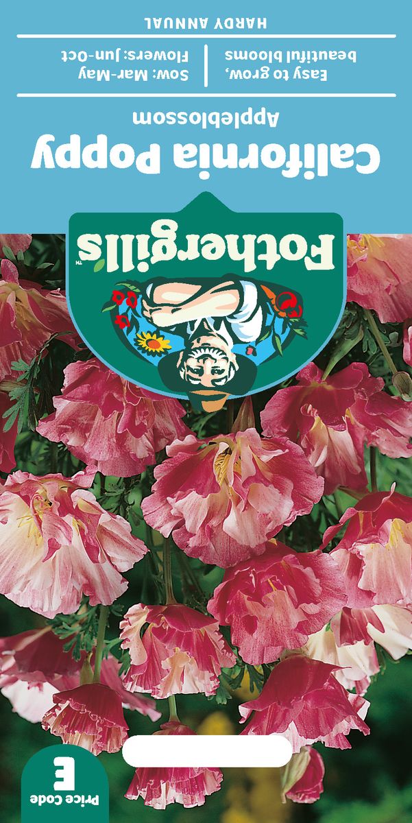 Kaliforniavalmue 'Appleblossom’ - Eschschoizia californica