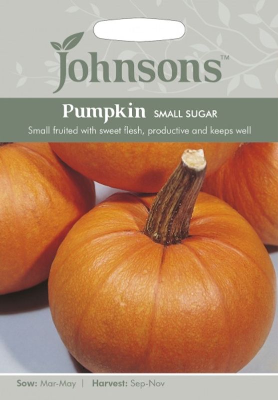Gresskar 'Small Sugar’ - Cucurbita pepo