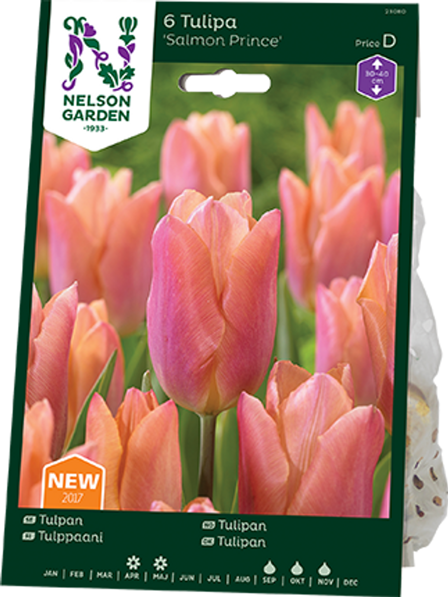 Tulipan 'Salmon Prince', Tidlig enkel - 6 stk