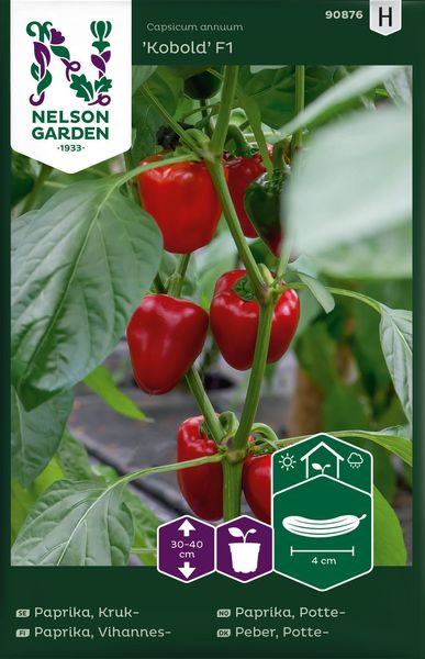 Hovedbilde Paprika 'Kobold' F1 - Capsicum annuum
