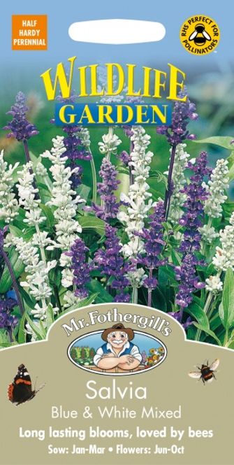 Hovedbilde Ullsalvie 'Blue & White' - Salvia farinacea