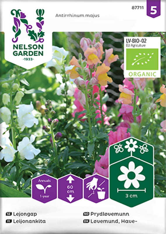 Løvemunn , høy - Antirrhinum majus, Organic