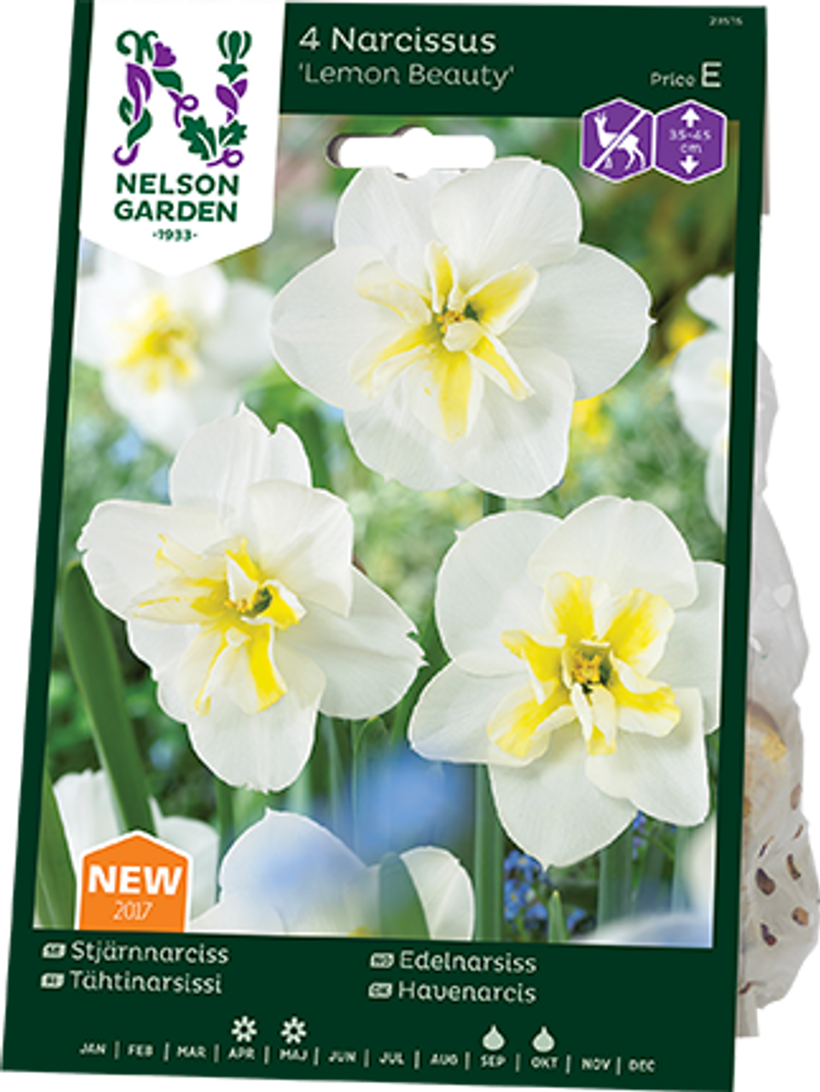 Påskelilje 'Lemon Beauty' - 5 stk