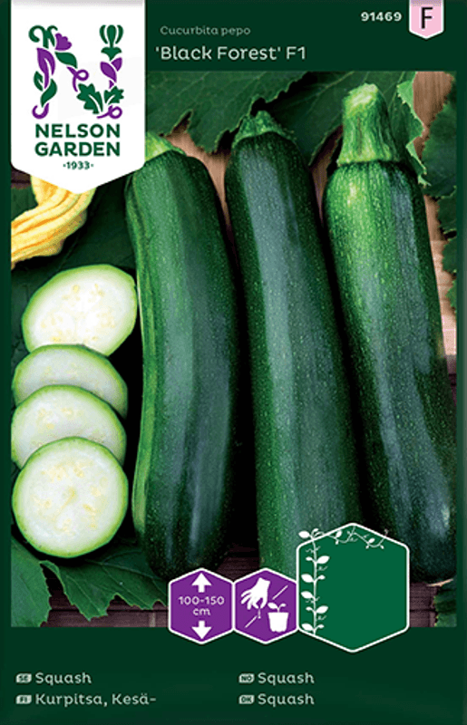 Squash 'Black Forest' F1 - Cucurbita pepo