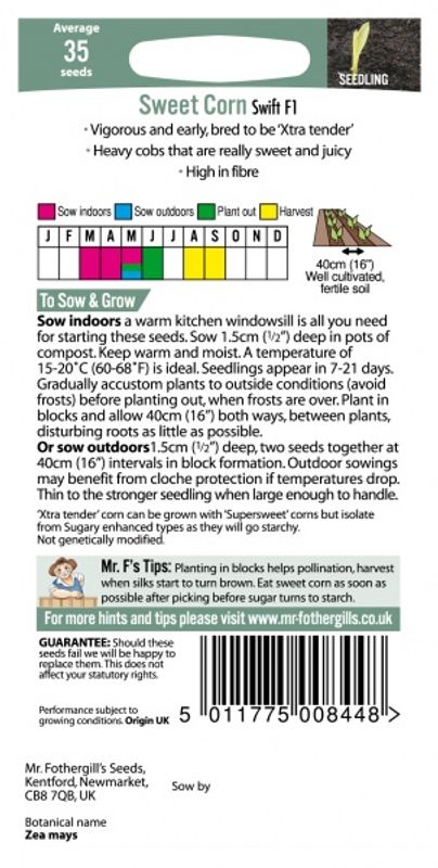 Mais 'Swift' F1 - Zea mays
