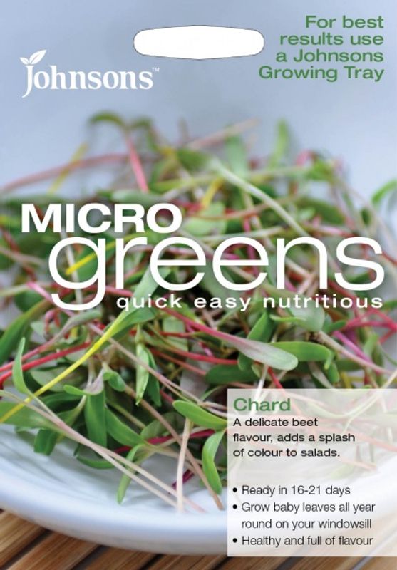 Mangold 'Bright Lights' - Micro Greens
