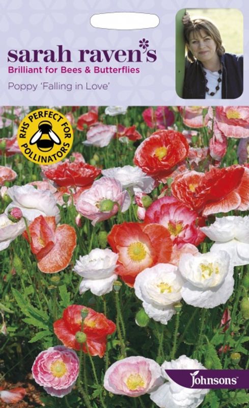 Kornvalmue 'Falling in Love' - Papaver rhoeas