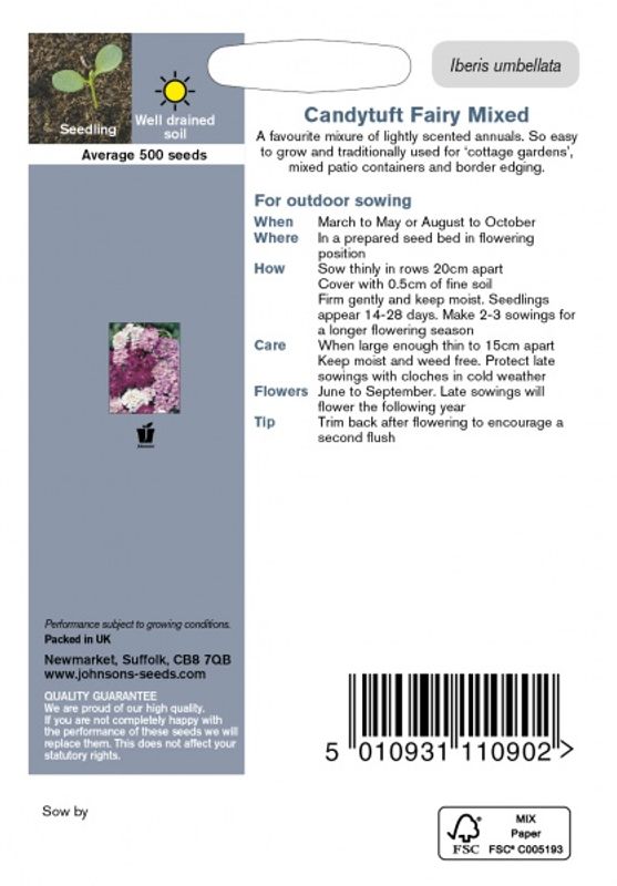 Skjermsløyfe 'Fairy Mixed' - Iberis umbellata